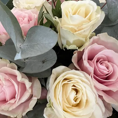 Quintessenza Casa In * Ajaccio (Corsica)