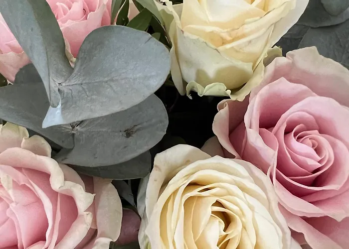 Quintessenza Casa In * Ajaccio (Corsica)